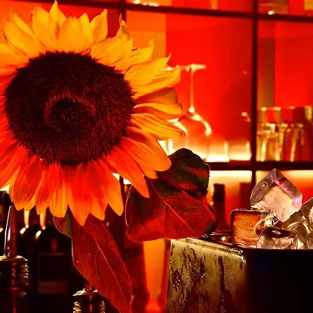 Eurhotel 3* Флоренция