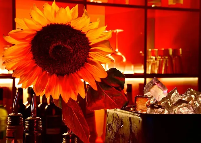 Eurhotel 3* 佛罗伦萨